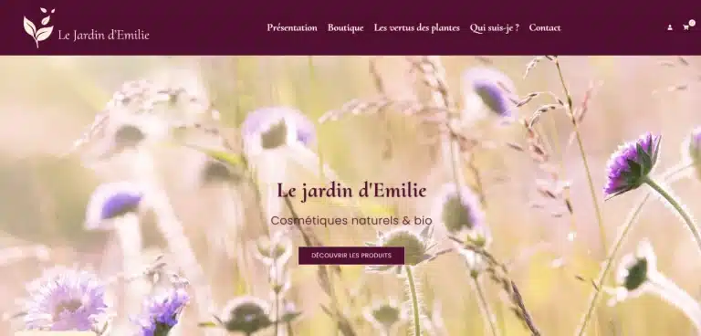 Création WodrPress/Woocommerce